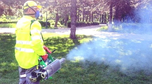 Dezinsectie in Calarasi Dezinsectie in Calarasi