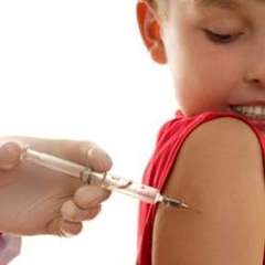 Campania de vaccinare antigripala se deruleaza in judetul Prahova