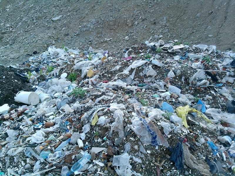 Garda de mediu Buzau a aplicat amenzi in 2010 de 80 de mii de lei