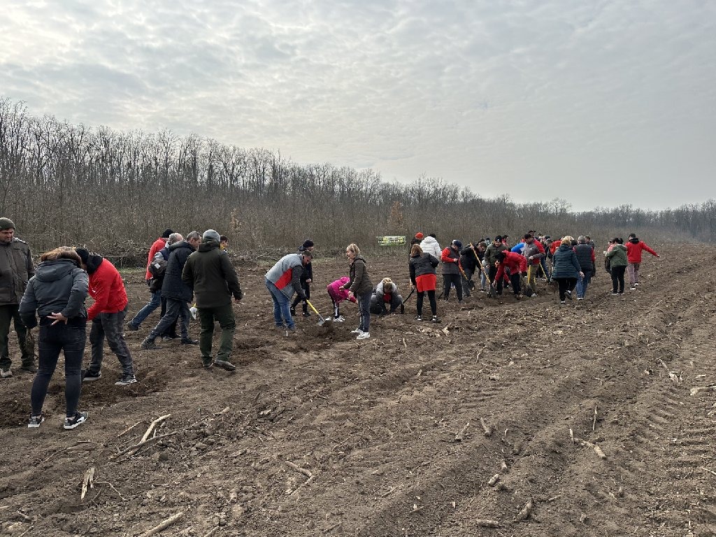 Impadurire Pantelimon (10)