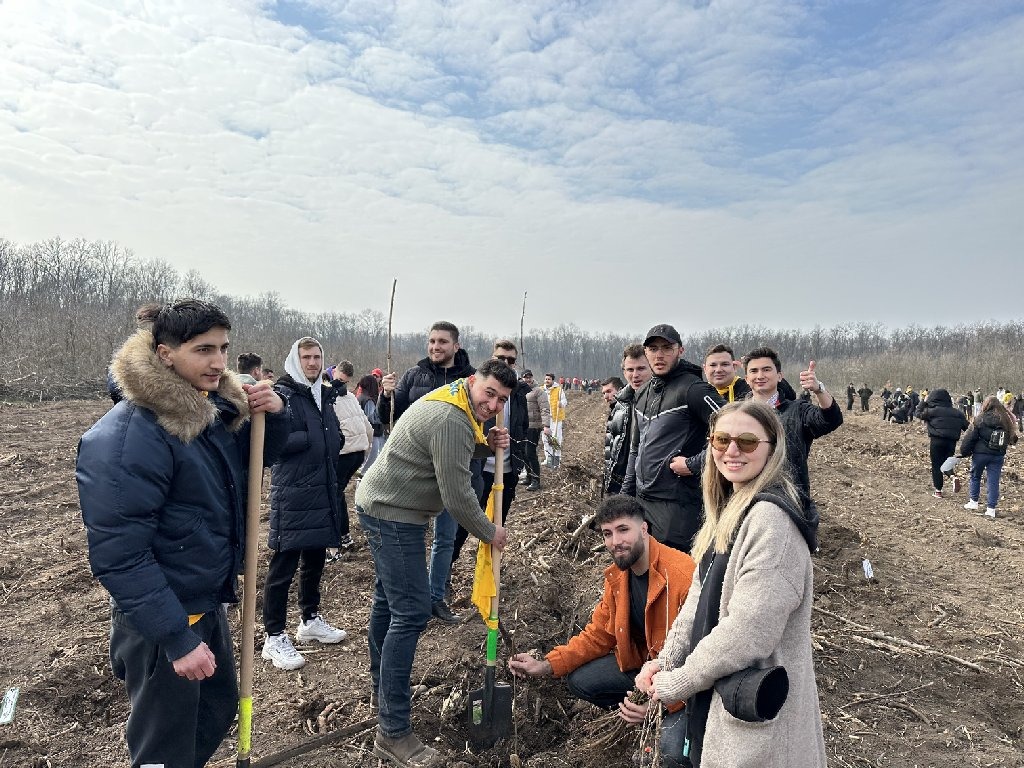 Impadurire Pantelimon (3)