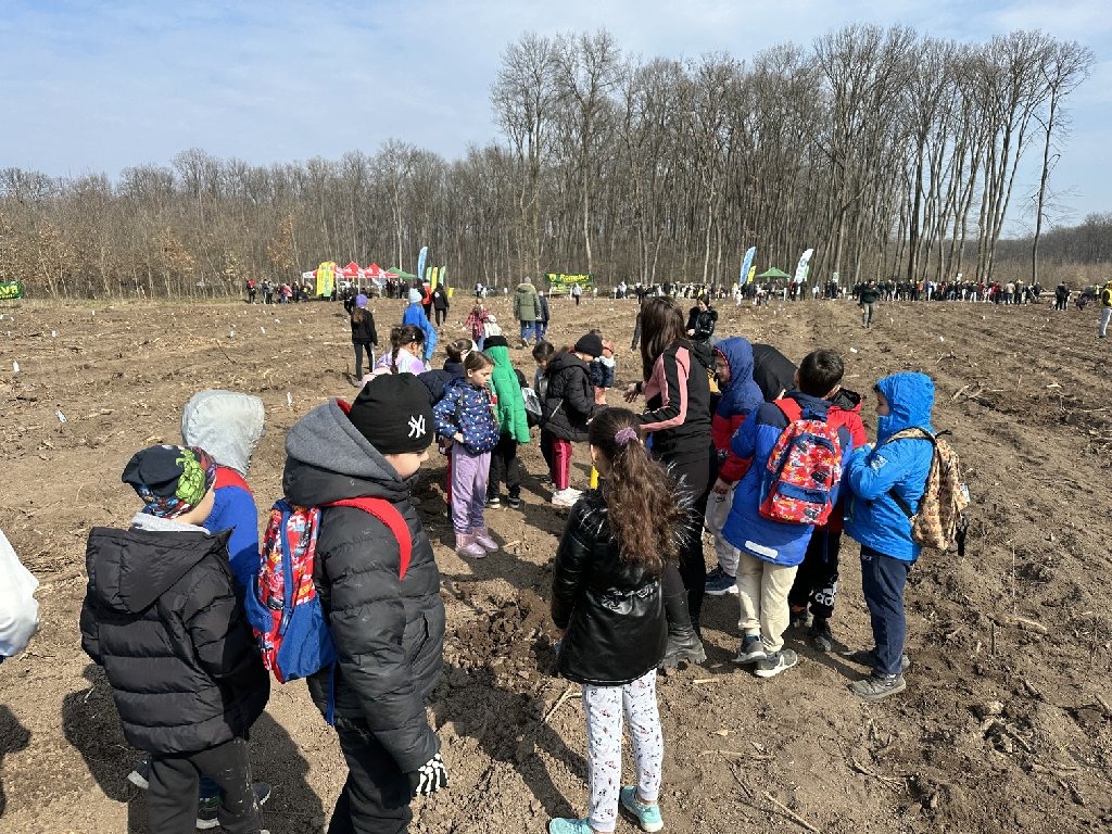 Impadurire Pantelimon (5)