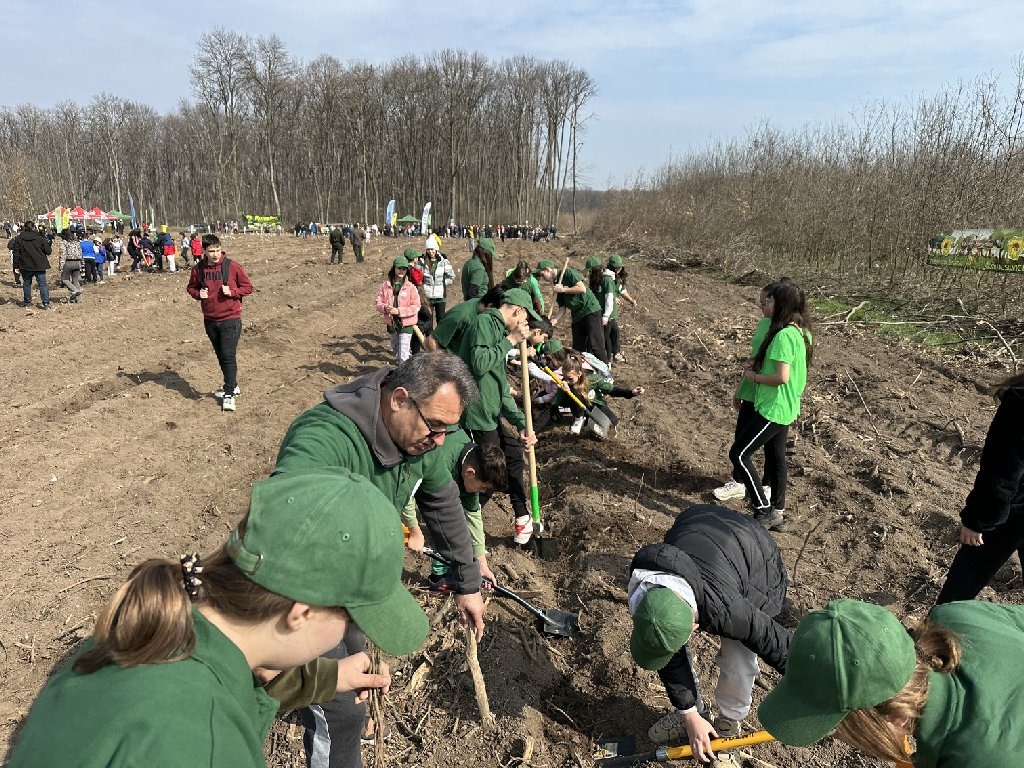 Impadurire Pantelimon (6)