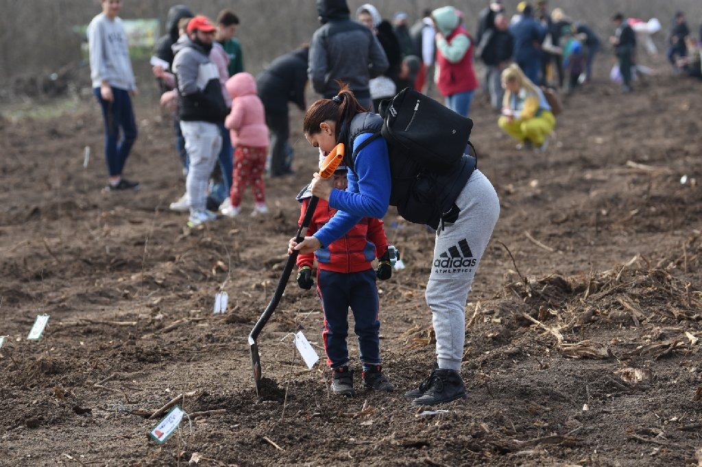 Impadurire Pantelimon (8)