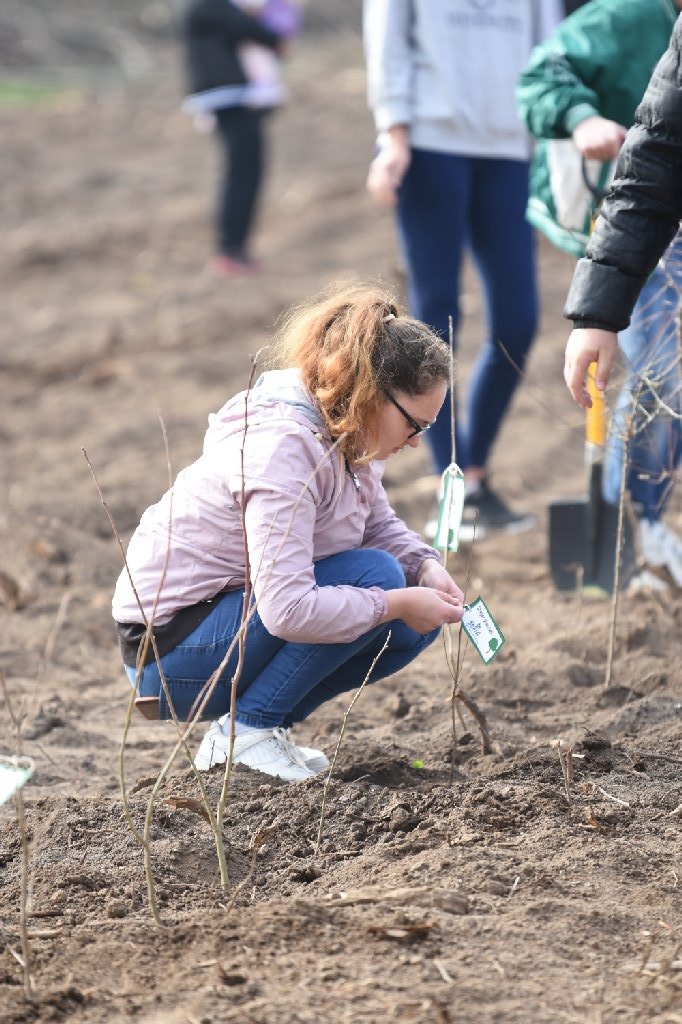 Impadurire Pantelimon (9)