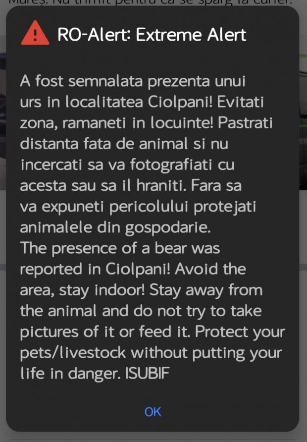 Urs Ciolpani Ilfov 2