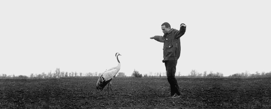 Doru Davidovici Si Cocorul