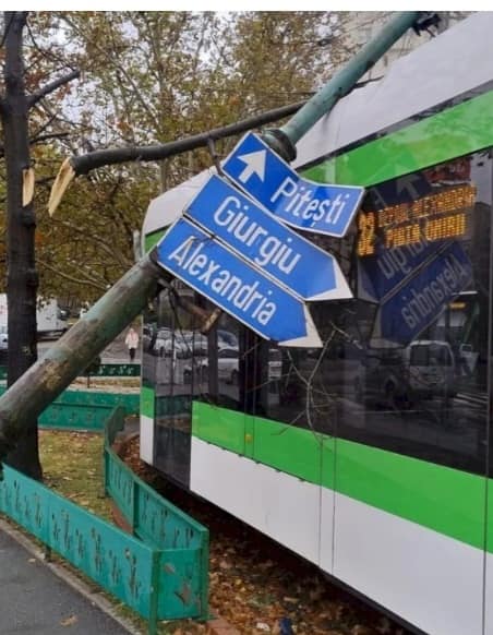 466772254 27450555594589510 8954220864887546294 N