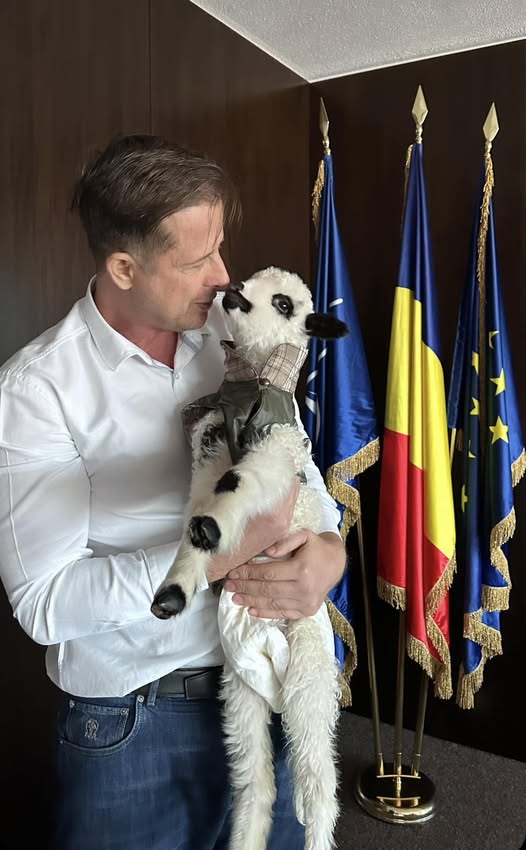 472622864 1043367431137993 6773031378336951613 N