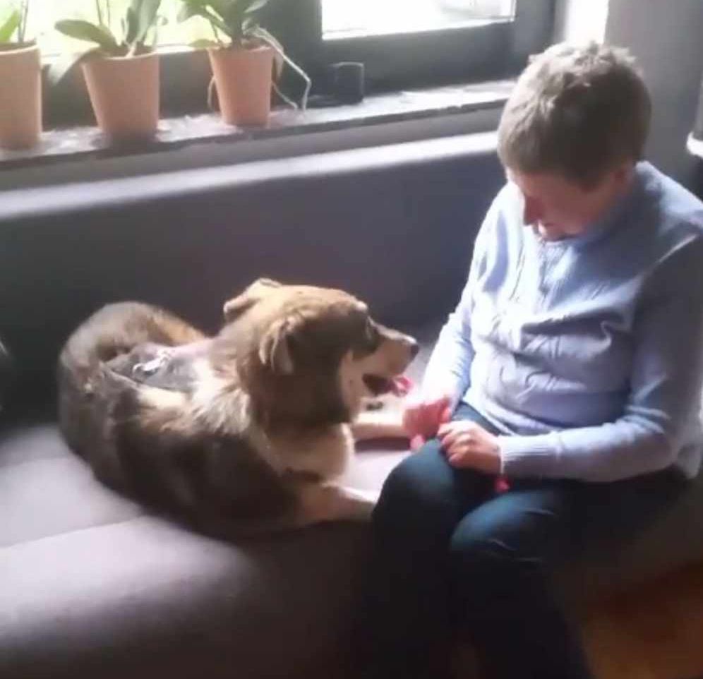 Lucky Catelul Salvat